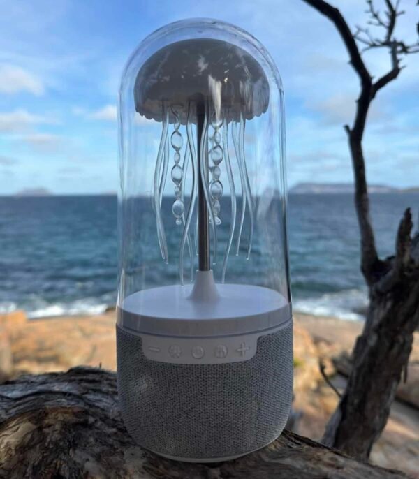 JellyVibe Speaker